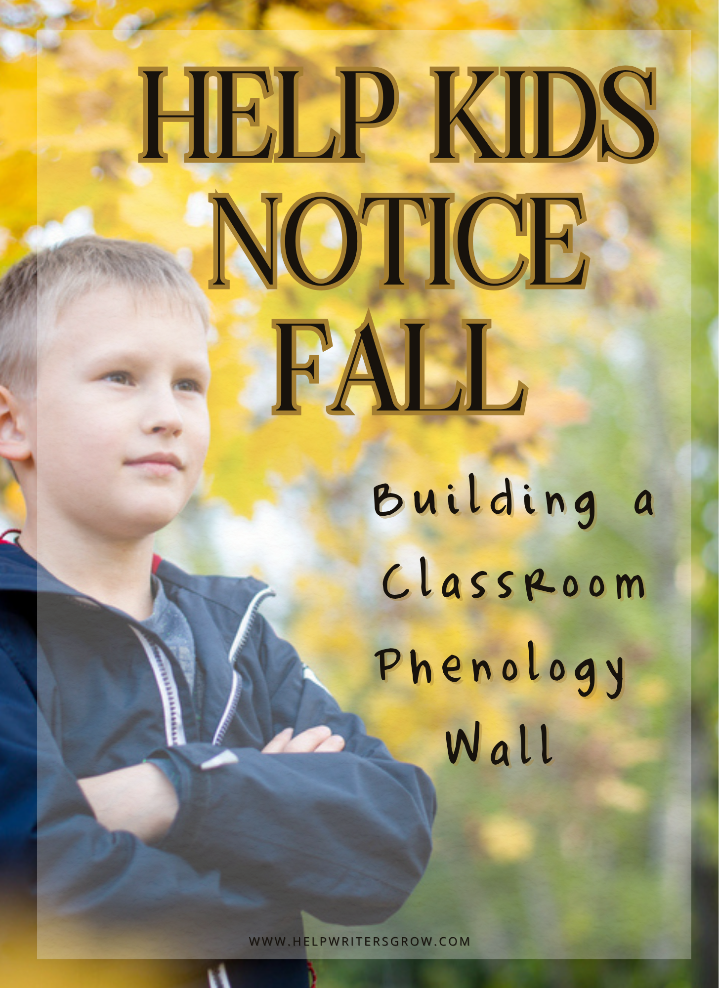 Child outdoors beneath yellow autumn leaves noticing the changing fall season